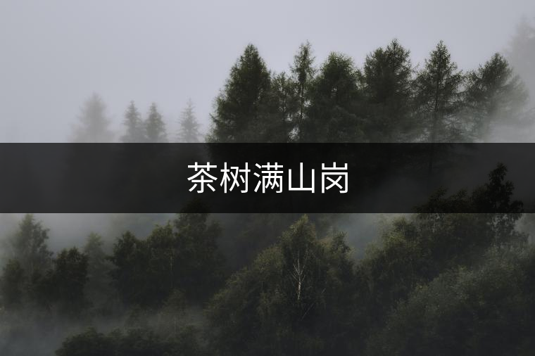 茶樹滿山崗 茶樹滿山崗