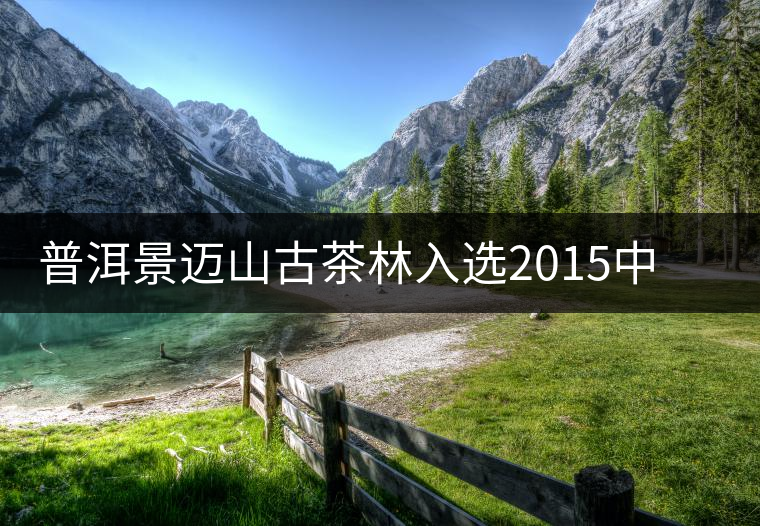 普洱景邁山古茶林入選2015中國最具價值文化(遺產(chǎn))旅游景區(qū) 普洱景邁山古茶林入選2015中國最具價值文化(遺產(chǎn))旅游景區(qū)