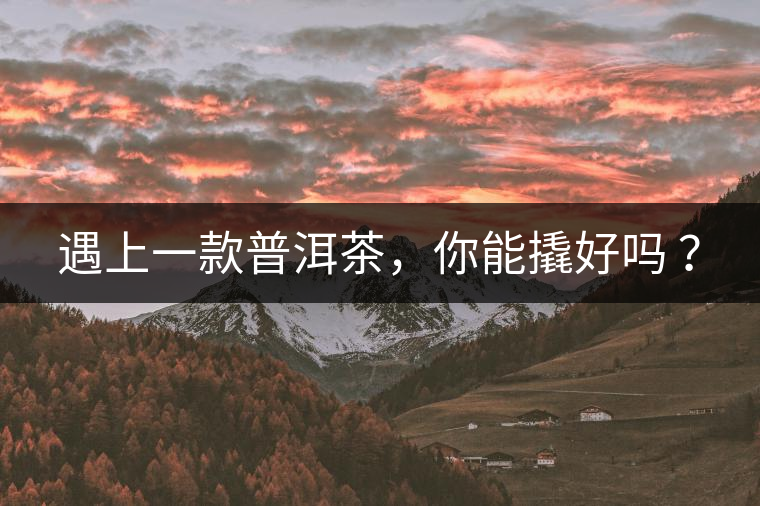 遇上一款普洱茶，你能撬好嗎 ？