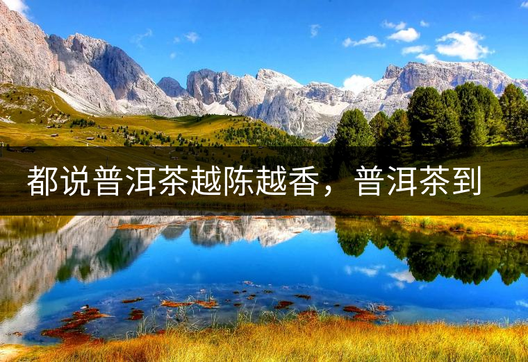 都說普洱茶越陳越香，普洱茶到底應該存多久？