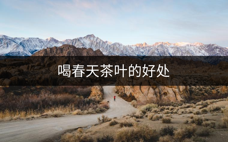喝春天茶葉的好處
