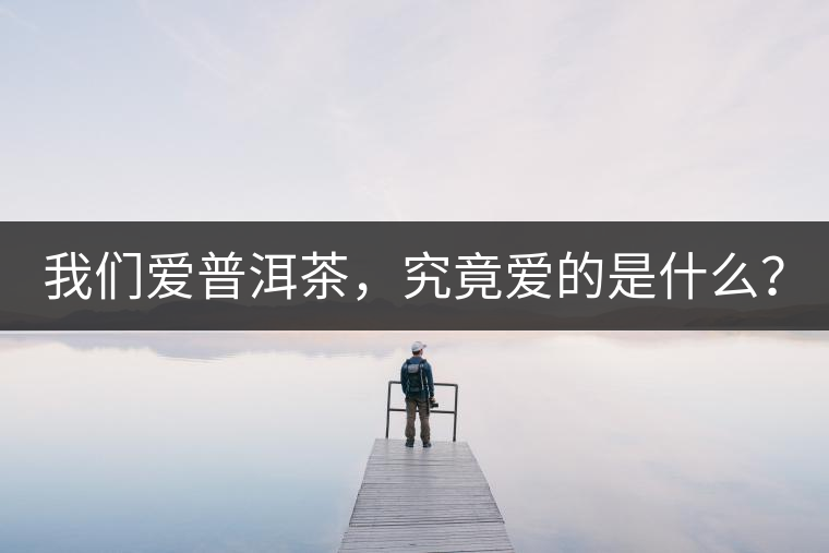 我們愛普洱茶，究竟愛的是什么？