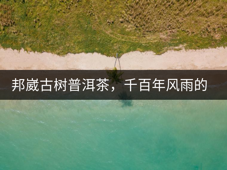 邦崴古樹普洱茶，千百年風(fēng)雨的洗禮