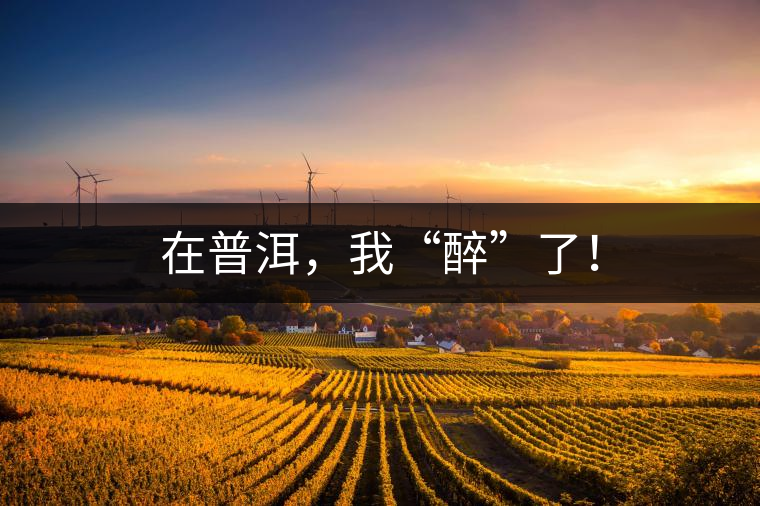 在普洱，我“醉”了！