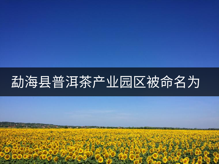 勐?？h普洱茶產(chǎn)業(yè)園區(qū)被命名為 