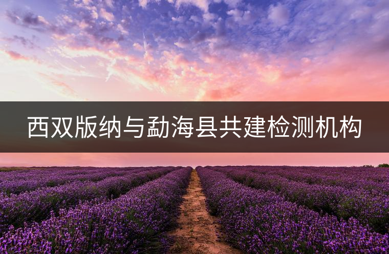 西雙版納與勐?？h共建檢測機構