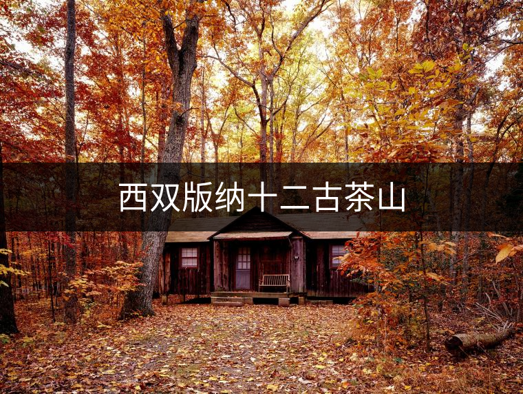 西雙版納十二古茶山 西雙版納十二古茶山