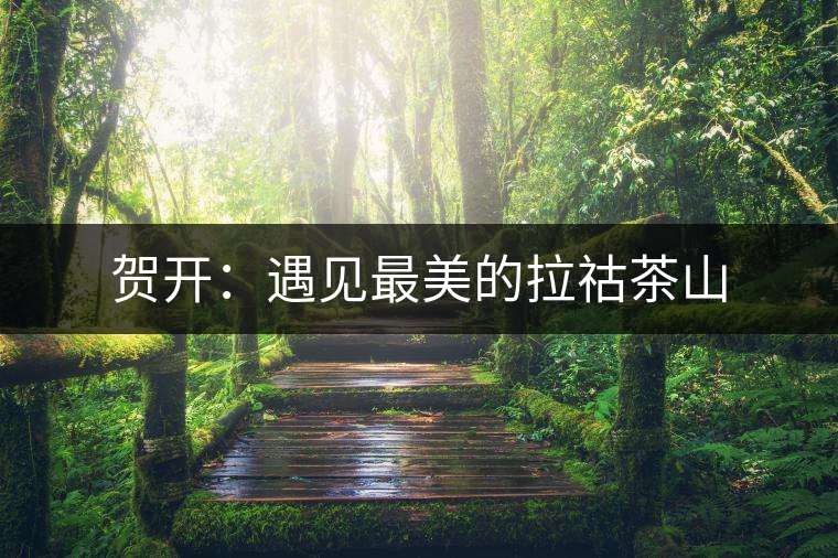 賀開:遇見最美的拉祜茶山 賀開:遇見最美的拉祜茶山