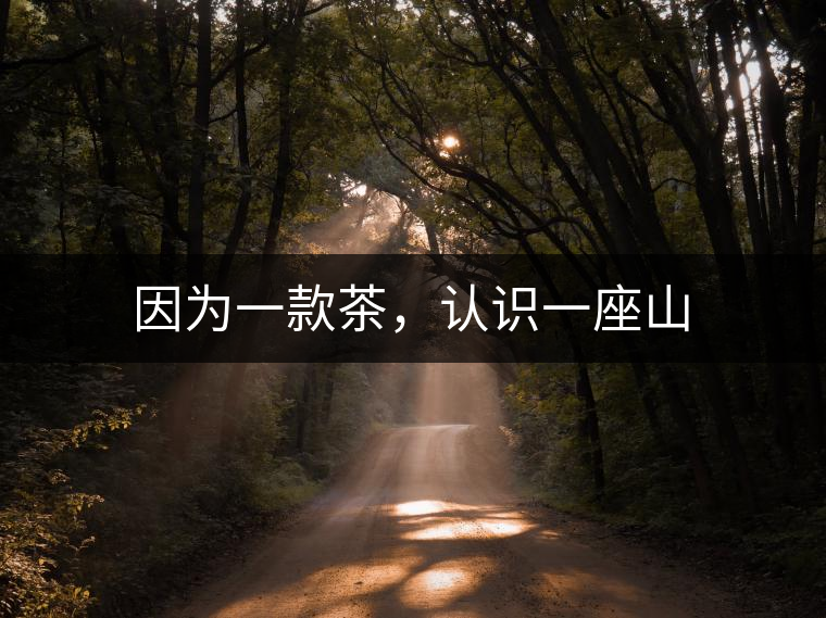 因?yàn)橐豢畈?，認(rèn)識(shí)一座山