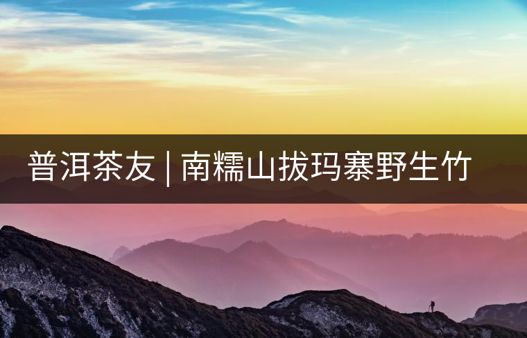 普洱茶友 | 南糯山拔瑪寨野生竹蓀給看過？