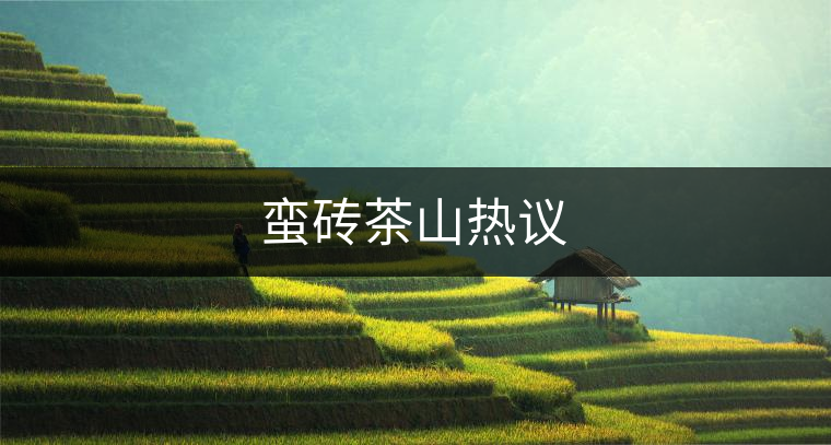 蠻磚茶山熱議 蠻磚茶山熱議