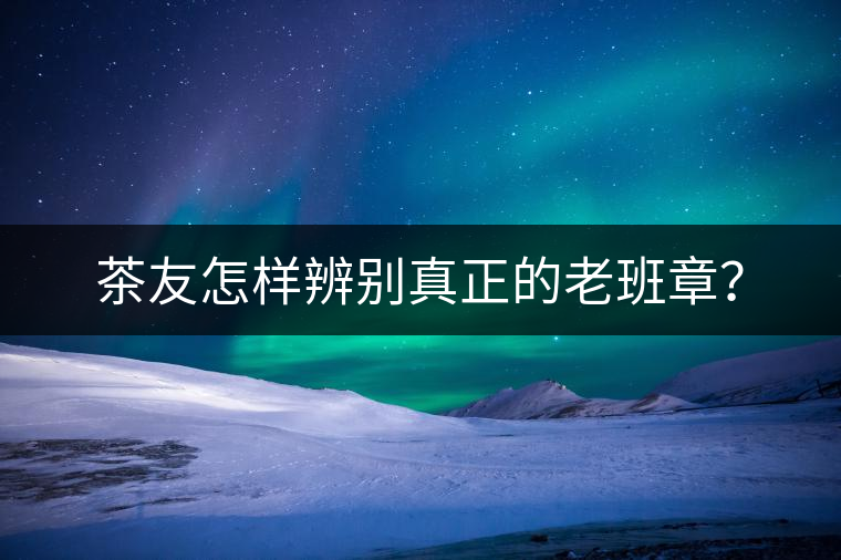 茶友怎樣辨別真正的老班章？