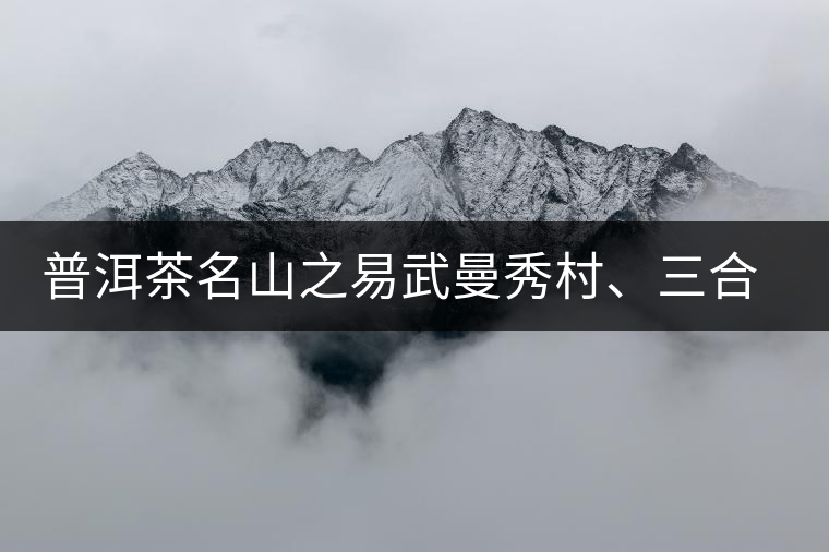 普洱茶名山之易武曼秀村、三合社村