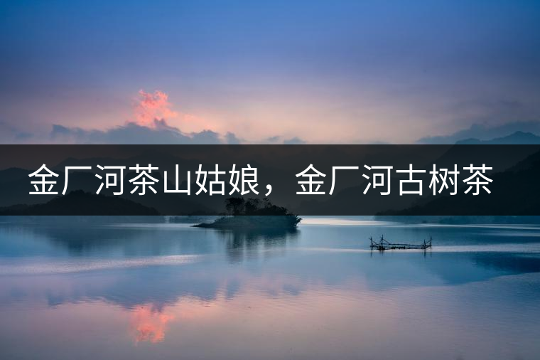 金廠河茶山姑娘，金廠河古樹(shù)茶特點(diǎn)與價(jià)格