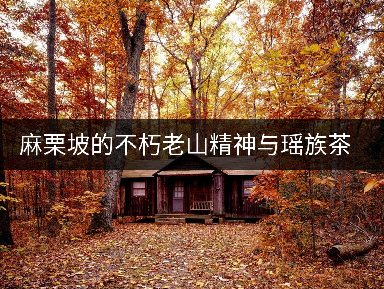 麻栗坡的不朽老山精神與瑤族茶文化 麻栗坡的不朽老山精神與瑤族茶文化