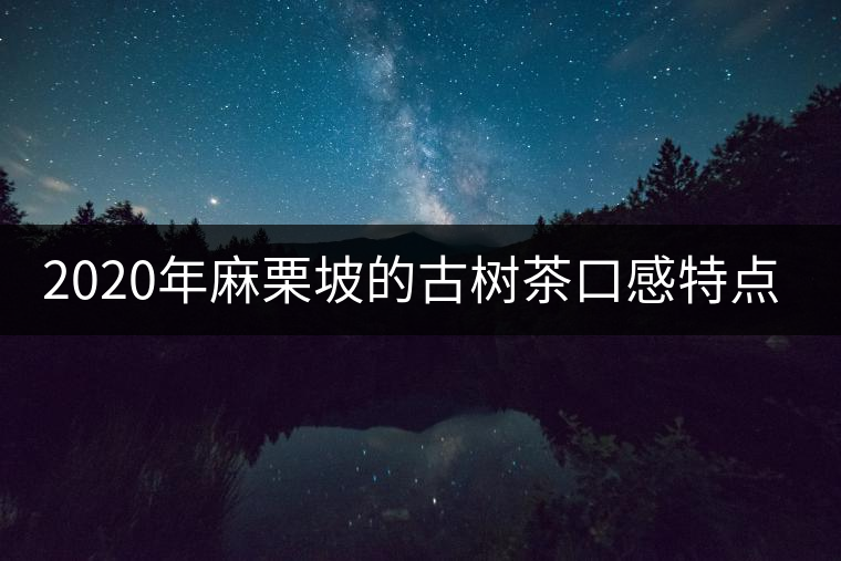 2020年麻栗坡的古樹茶口感特點(diǎn)是什么？