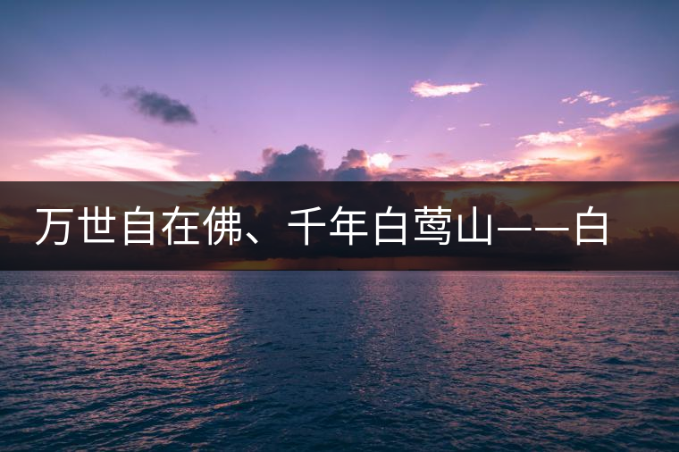 萬(wàn)世自在佛、千年白鶯山——白鶯山古樹茶特點(diǎn)