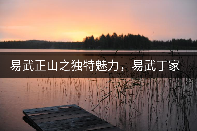 易武正山之獨(dú)特魅力，易武丁家寨介紹品鑒