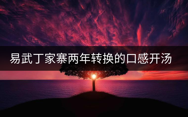 易武丁家寨兩年轉(zhuǎn)換的口感開湯品鑒 易武丁家寨兩年轉(zhuǎn)換的口感開湯品鑒