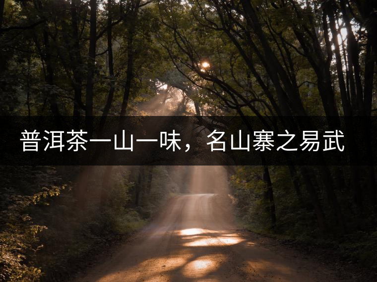 普洱茶一山一味，名山寨之易武彎弓瑤族丁家寨