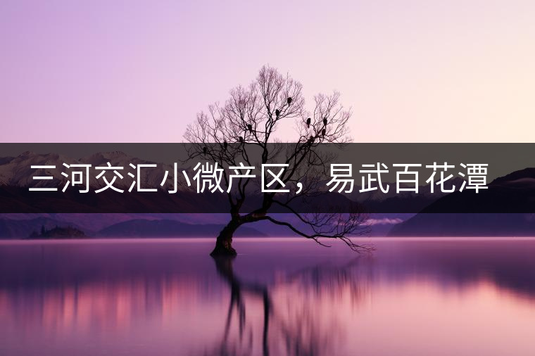 三河交匯小微產(chǎn)區(qū)，易武百花潭古茶園介紹