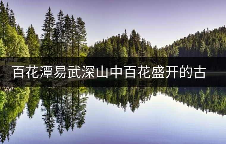 百花潭易武深山中百花盛開的古茶園 百花潭易武深山中百花盛開的古茶園