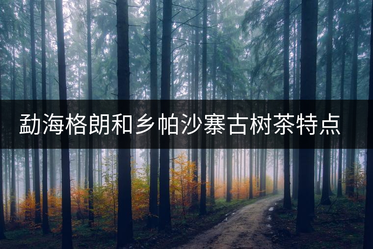 勐海格朗和鄉(xiāng)帕沙寨古樹茶特點介紹 勐海格朗和鄉(xiāng)帕沙寨古樹茶特點介紹