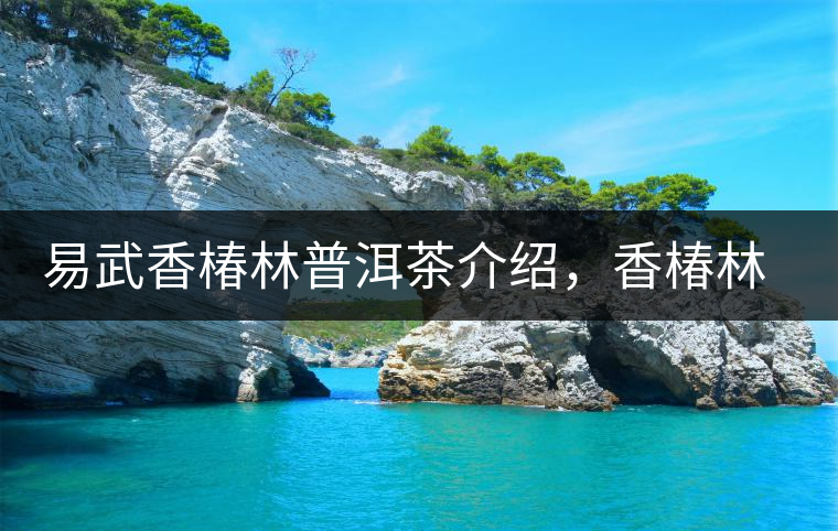 易武香椿林普洱茶介紹，香椿林古樹茶口感特點