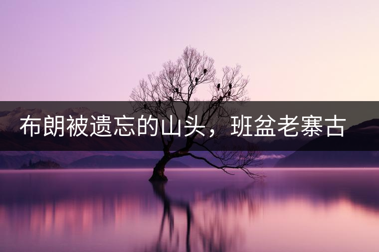 布朗被遺忘的山頭，班盆老寨古茶園介紹