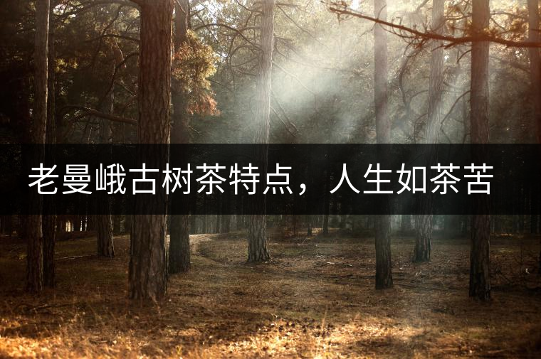 老曼峨古樹茶特點(diǎn)，人生如茶苦盡甘來