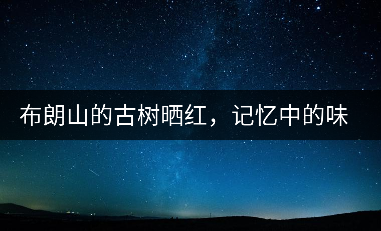 布朗山的古樹曬紅，記憶中的味道