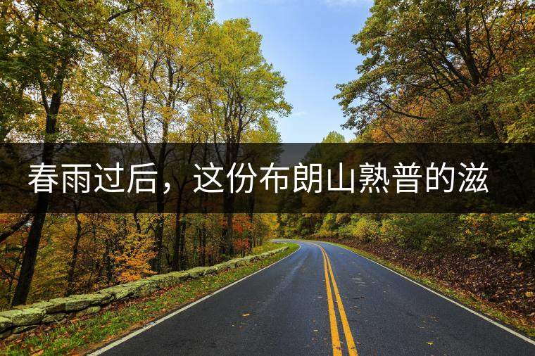 春雨過后，這份布朗山熟普的滋味正當(dāng)時