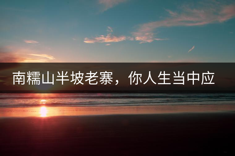 南糯山半坡老寨，你人生當(dāng)中應(yīng)該入手的第一片勐海味古樹純料普洱茶