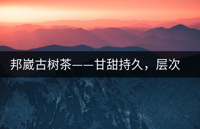 邦崴古樹(shù)茶——甘甜持久，層次鮮明