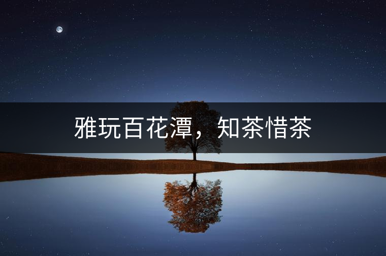 雅玩百花潭，知茶惜茶