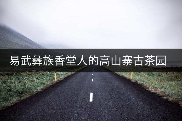 易武彝族香堂人的高山寨古茶園特點(diǎn)介紹 易武彝族香堂人的高山寨古茶園特點(diǎn)介紹