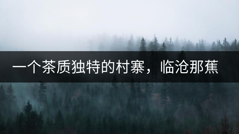 一個(gè)茶質(zhì)獨(dú)特的村寨，臨滄那蕉古樹(shù)茶介紹