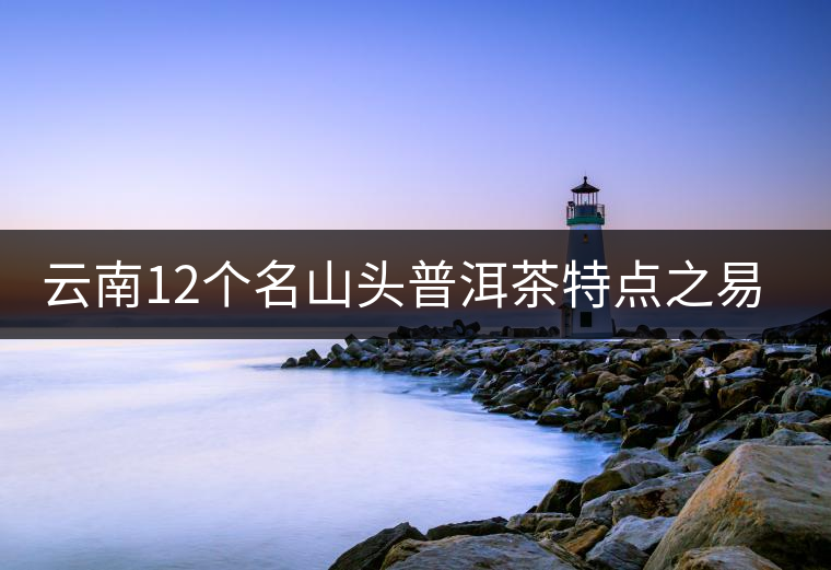 云南12個名山頭普洱茶特點(diǎn)之易武篇