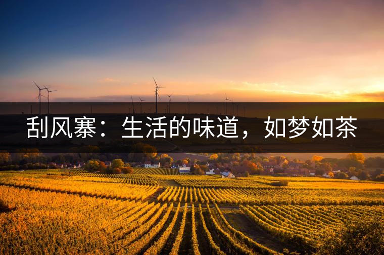 刮風寨：生活的味道，如夢如茶