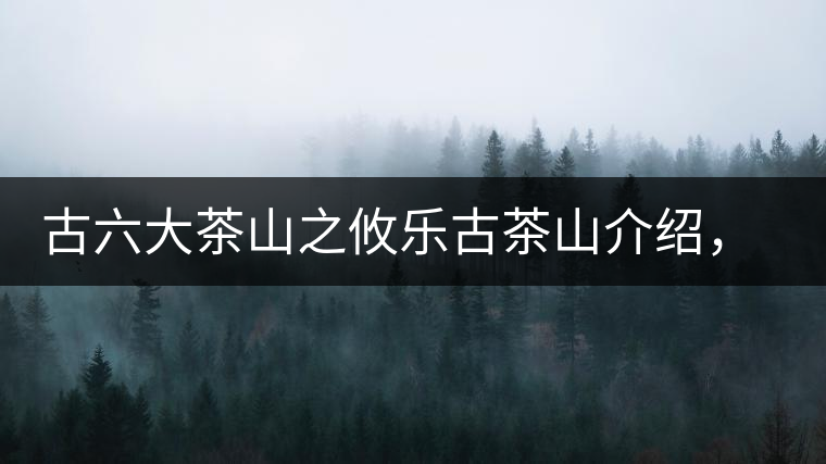 古六大茶山之攸樂(lè)古茶山介紹，攸樂(lè)古樹(shù)茶口感特點(diǎn)