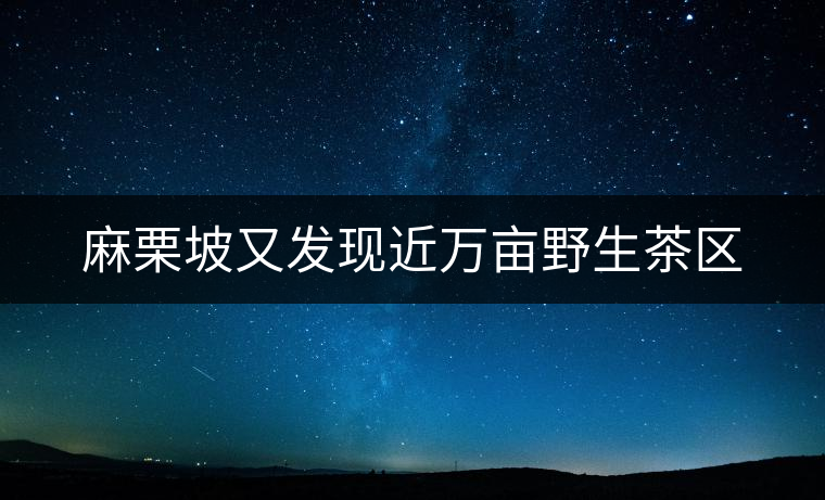 麻栗坡又發(fā)現(xiàn)近萬畝野生茶區(qū) 麻栗坡又發(fā)現(xiàn)近萬畝野生茶區(qū)