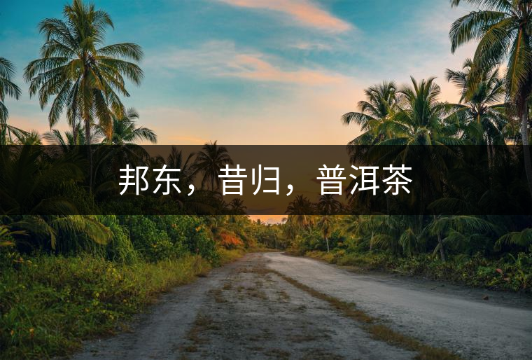 邦東，昔歸，普洱茶