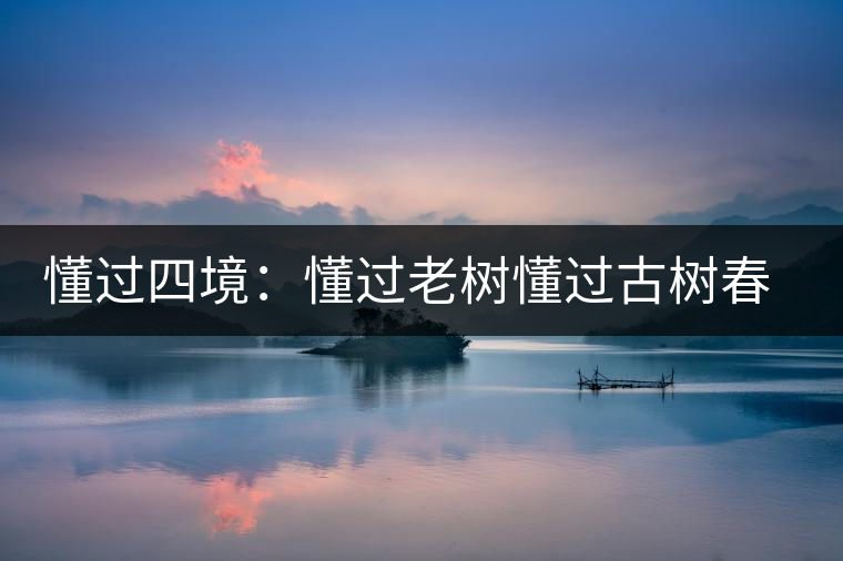 懂過四境：懂過老樹懂過古樹春秋和磨烈古樹茶