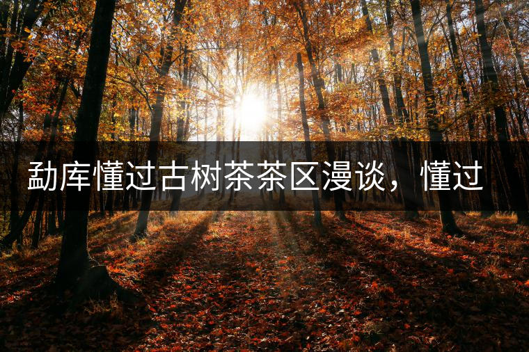 勐庫懂過古樹茶茶區(qū)漫談，懂過古樹茶的特點