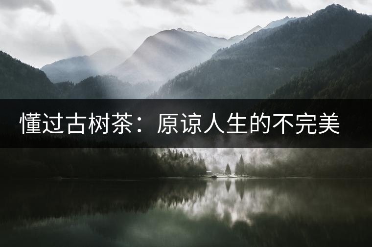 懂過古樹茶：原諒人生的不完美，多一次心靈的回歸！