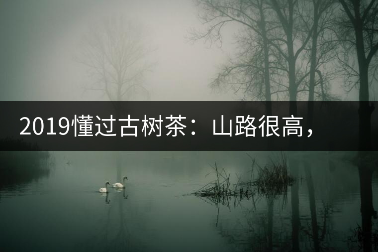 2019懂過古樹茶：山路很高，可仍然有執(zhí)著走向深山的人