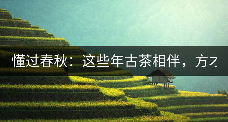 懂過(guò)春秋：這些年古茶相伴，方才懂過(guò)！