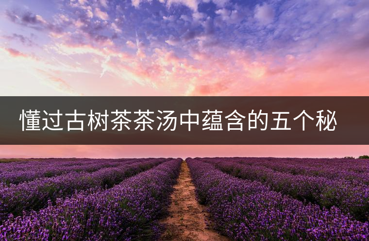 懂過(guò)古樹(shù)茶茶湯中蘊(yùn)含的五個(gè)秘密