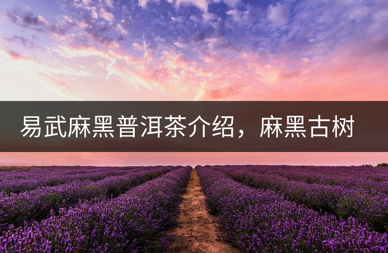 易武麻黑普洱茶介紹，麻黑古樹茶口感特點