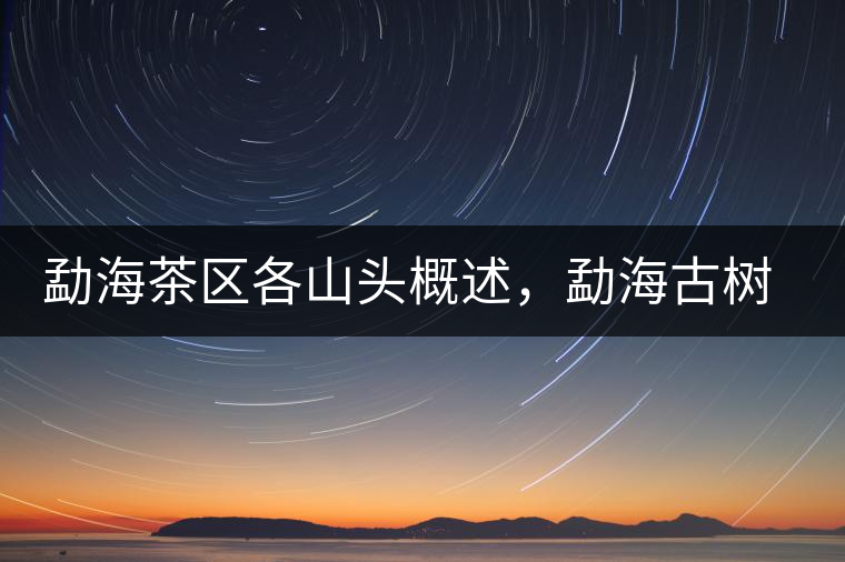 勐海茶區(qū)各山頭概述，勐海古樹(shù)茶口感特點(diǎn)